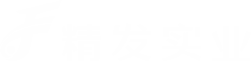 kingfo-logo-h-cn-white